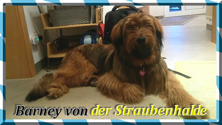 Wäller von der Straubenhalde